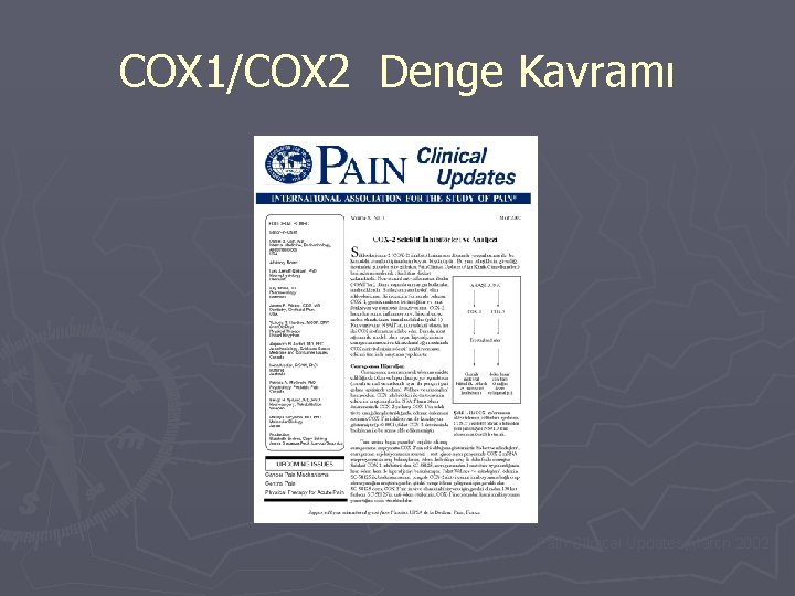 COX 1/COX 2 Denge Kavramı Pain Clinical Updates, March 2002 