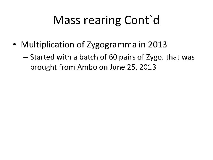 Mass rearing Cont`d • Multiplication of Zygogramma in 2013 – Started with a batch