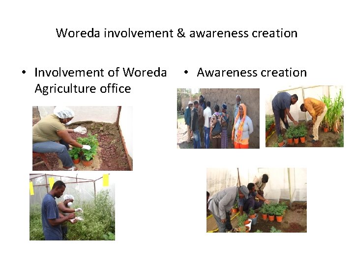 Woreda involvement & awareness creation • Involvement of Woreda Agriculture office • Awareness creation