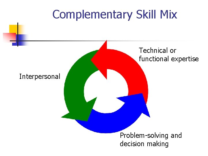 Complementary Skill Mix Technical or functional expertise Interpersonal Problem-solving and decision making 
