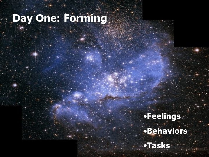 Day One: Forming • Feelings • Behaviors • Tasks 