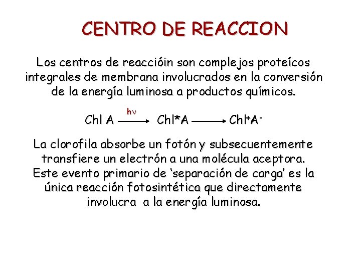 CENTRO DE REACCION Los centros de reaccióin son complejos proteícos integrales de membrana involucrados