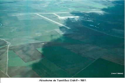 (Jean Catelier) Aérodrome de Tiaret-Bou Chékif – 1961 