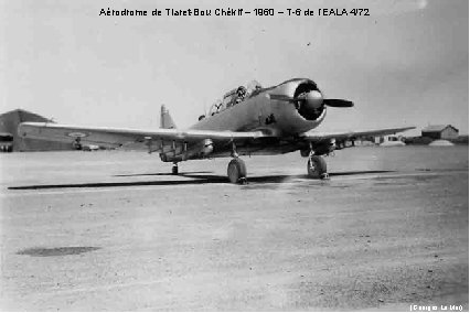 Aérodrome de Tiaret-Bou Chékif – 1960 – T-6 de l’EALA 4/72 (Georges Le Mer)