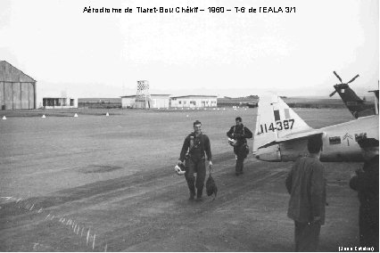 Aérodrome de Tiaret-Bou Chékif – 1960 – T-6 de l’EALA 3/1 (Jean Catelier) 