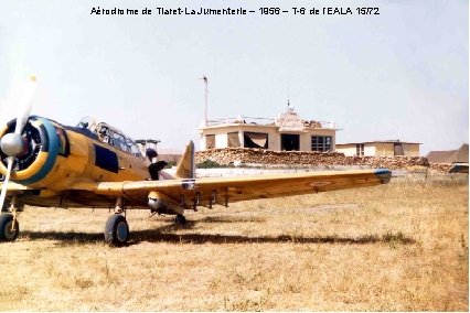 Aérodrome de Tiaret-La Jumenterie – 1956 – T-6 de l’EALA 15/72 (René Lallonder) 