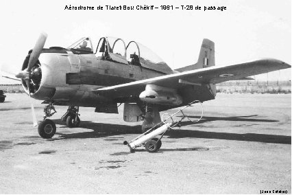 Aérodrome de Tiaret-Bou Chékif – 1961 – T-28 de passage (Jean Catelier) 