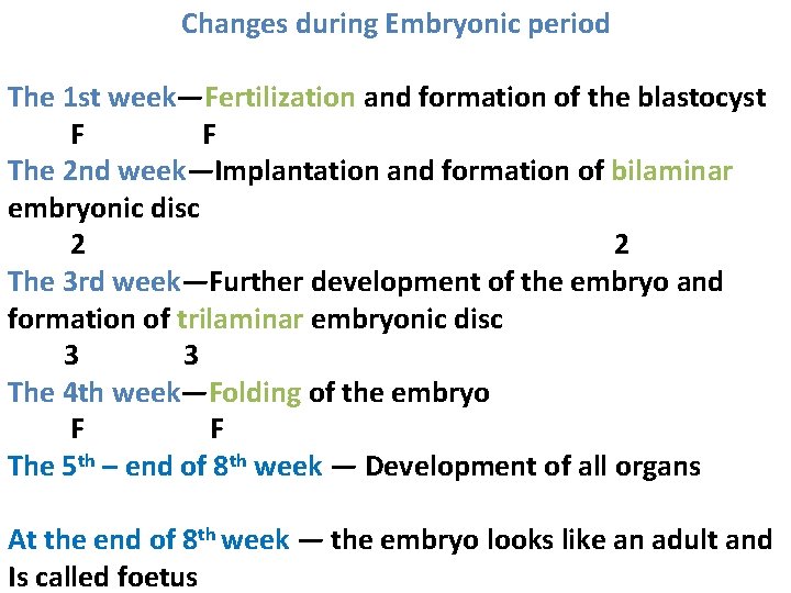  Changes during Embryonic period The 1 st week—Fertilization and formation of the blastocyst