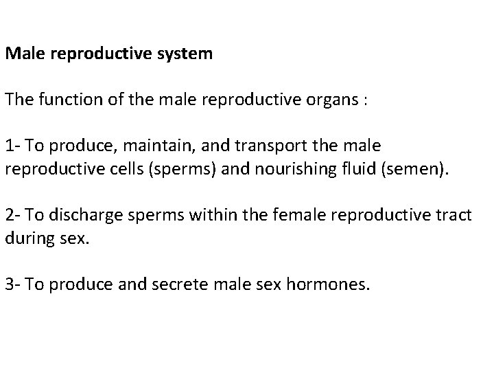 Male reproductive system The function of the male reproductive organs : 1 - To