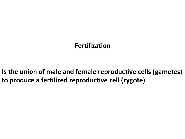  Fertilization Is the union of male and female reproductive cells (gametes) to produce