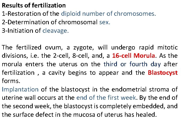 Results of fertilization 1 -Restoration of the diploid number of chromosomes. 2 -Determination of