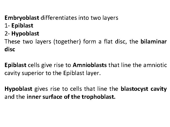 Embryoblast differentiates into two layers 1 - Epiblast 2 - Hypoblast These two layers