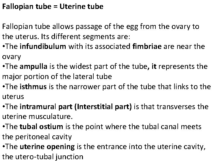 Fallopian tube = Uterine tube Fallopian tube allows passage of the egg from the