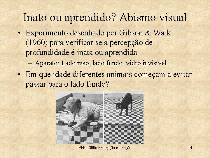 Inato ou aprendido? Abismo visual • Experimento desenhado por Gibson & Walk (1960) para