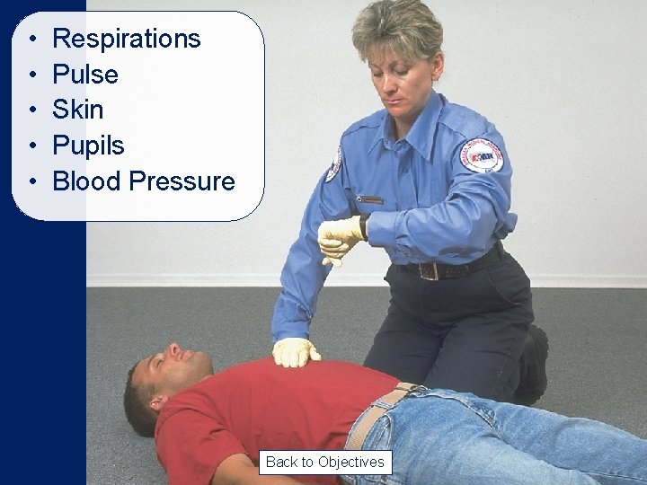 • • • Respirations Pulse Skin Pupils Blood Pressure Back to Objectives • • • Respirations Pulse Skin Pupils Blood Pressure Back to Objectives