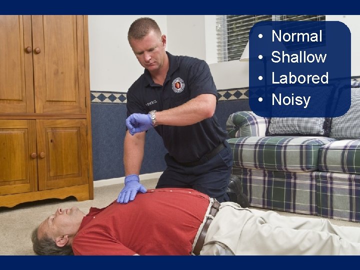 • • Normal Shallow Labored Noisy • • Normal Shallow Labored Noisy