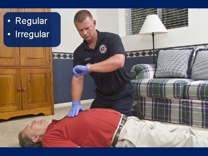 • Regular • Irregular • Regular • Irregular