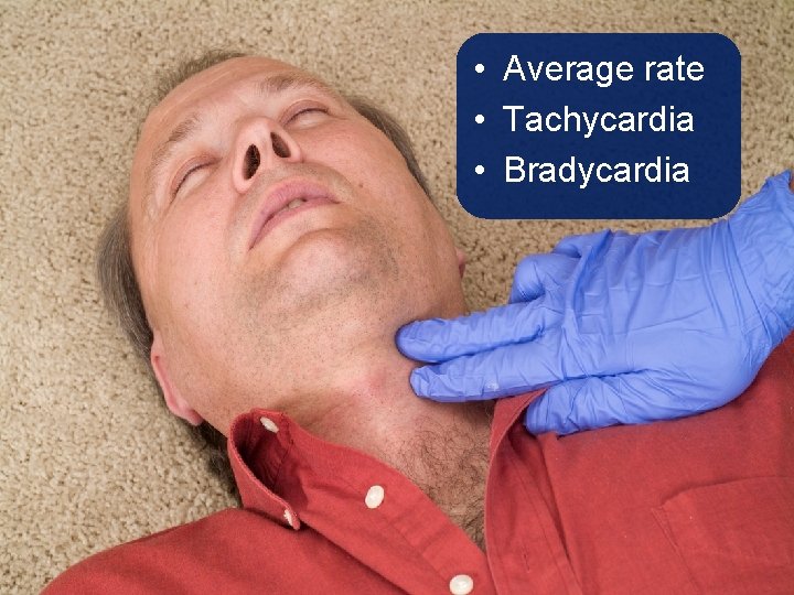 • Average rate • Tachycardia • Bradycardia • Average rate • Tachycardia • Bradycardia