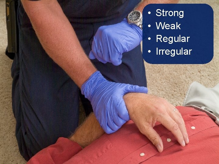 • • Strong Weak Regular Irregular • • Strong Weak Regular Irregular