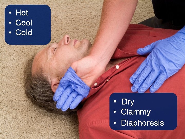 • Hot • Cool • Cold • Dry • Clammy • Diaphoresis • Hot • Cool • Cold • Dry • Clammy • Diaphoresis