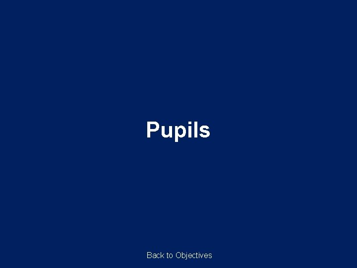 Pupils Back to Objectives Pupils Back to Objectives