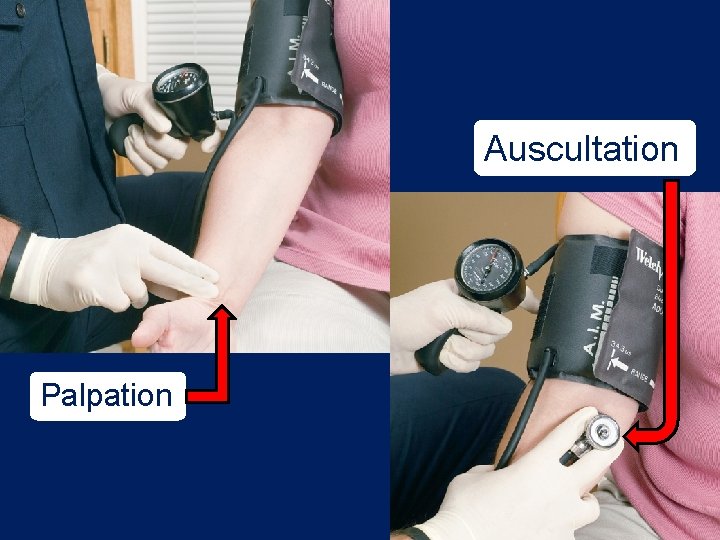 Auscultation Palpation Auscultation Palpation