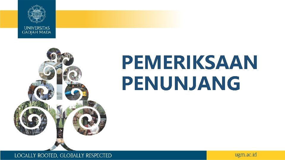 PEMERIKSAAN PENUNJANG 