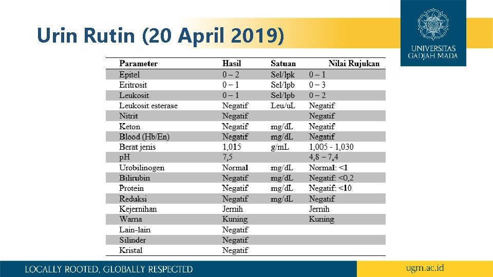 Urin Rutin (20 April 2019) 