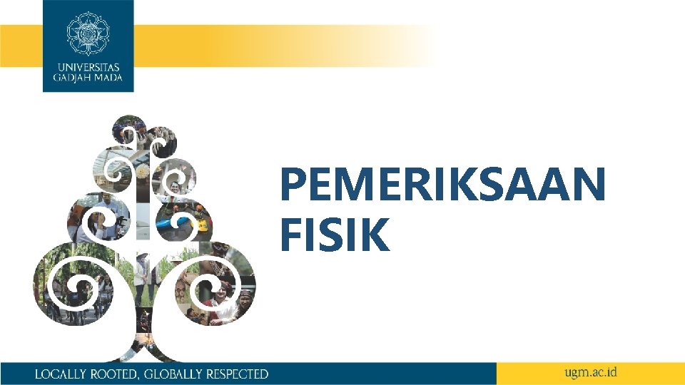 PEMERIKSAAN FISIK 