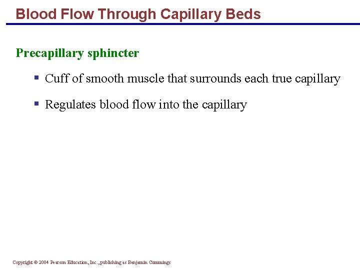 Blood Flow Through Capillary Beds Precapillary sphincter § Cuff of smooth muscle that surrounds