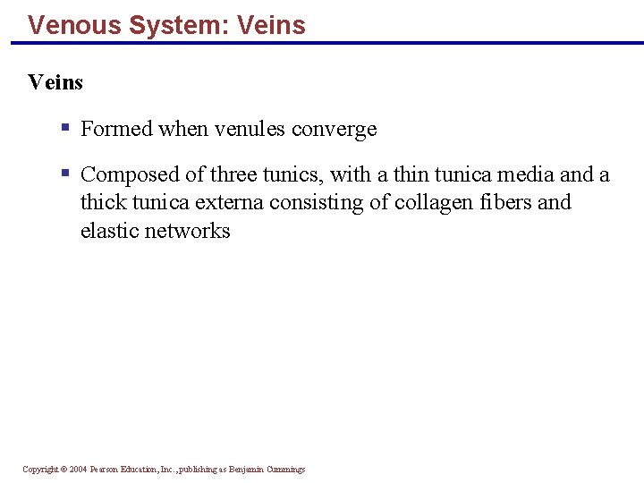 Venous System: Veins § Formed when venules converge § Composed of three tunics, with