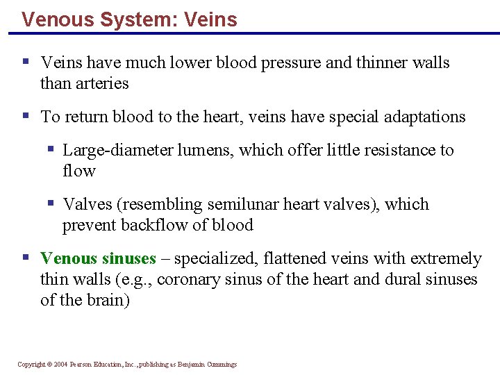 Venous System: Veins § Veins have much lower blood pressure and thinner walls than
