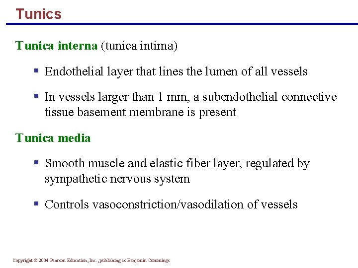 Tunics Tunica interna (tunica intima) § Endothelial layer that lines the lumen of all