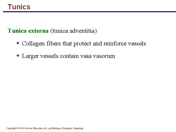 Tunics Tunica externa (tunica adventitia) § Collagen fibers that protect and reinforce vessels §