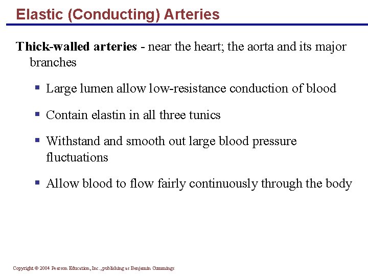 Elastic (Conducting) Arteries Thick-walled arteries - near the heart; the aorta and its major