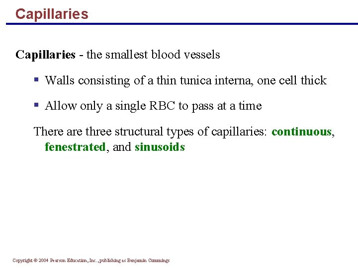 Capillaries - the smallest blood vessels § Walls consisting of a thin tunica interna,