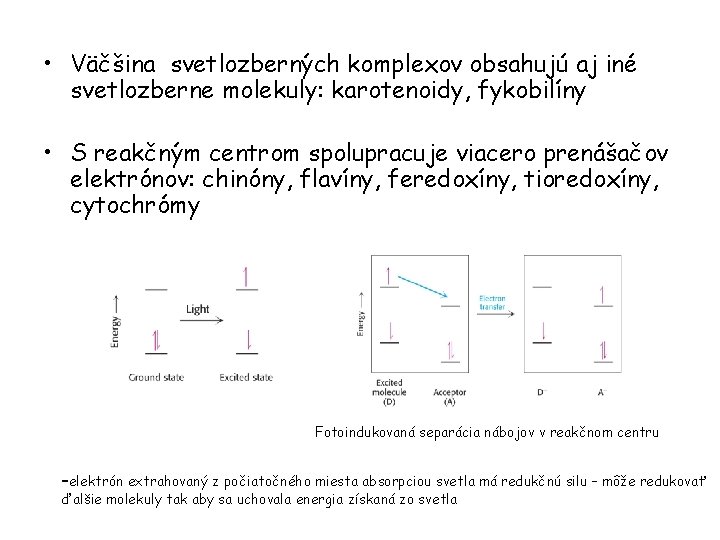  • Väčšina svetlozberných komplexov obsahujú aj iné svetlozberne molekuly: karotenoidy, fykobilíny • S