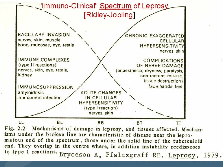 “Immuno-Clinical” Spectrum of Leprosy [Ridley-Jopling] 