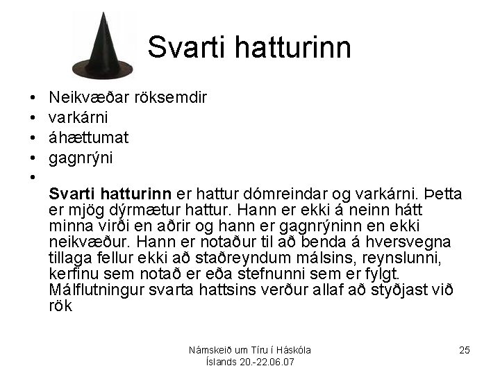 Svarti hatturinn • • • Neikvæðar röksemdir varkárni áhættumat gagnrýni Svarti hatturinn er hattur