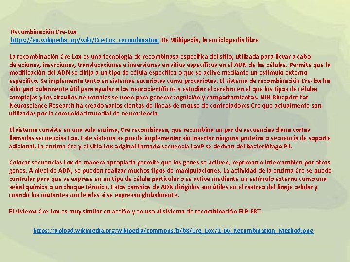 Recombinación Cre-Lox https: //en. wikipedia. org/wiki/Cre-Lox_recombination De Wikipedia, la enciclopedia libre La recombinación Cre-Lox