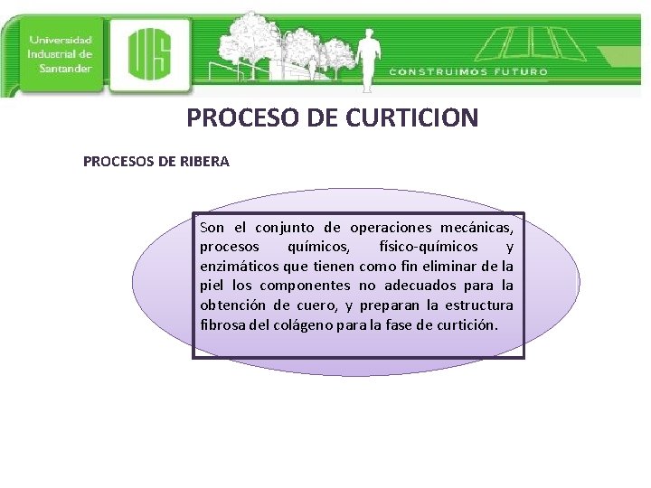 PROCESO DE CURTICION PROCESOS DE RIBERA Son el conjunto de operaciones mecánicas, procesos químicos,