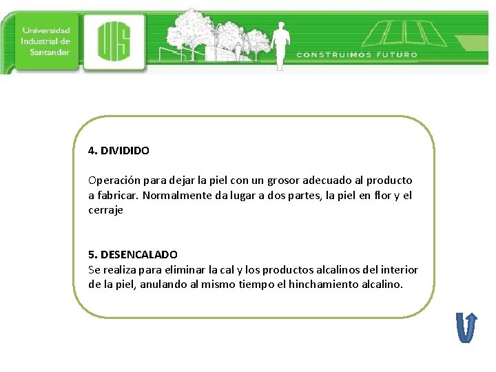 4. DIVIDIDO Operación para dejar la piel con un grosor adecuado al producto a