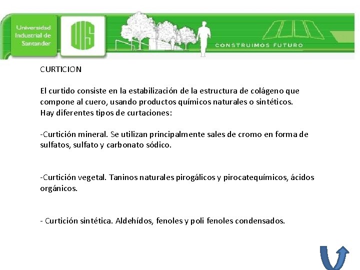 CURTICION El curtido consiste en la estabilización de la estructura de colágeno que compone