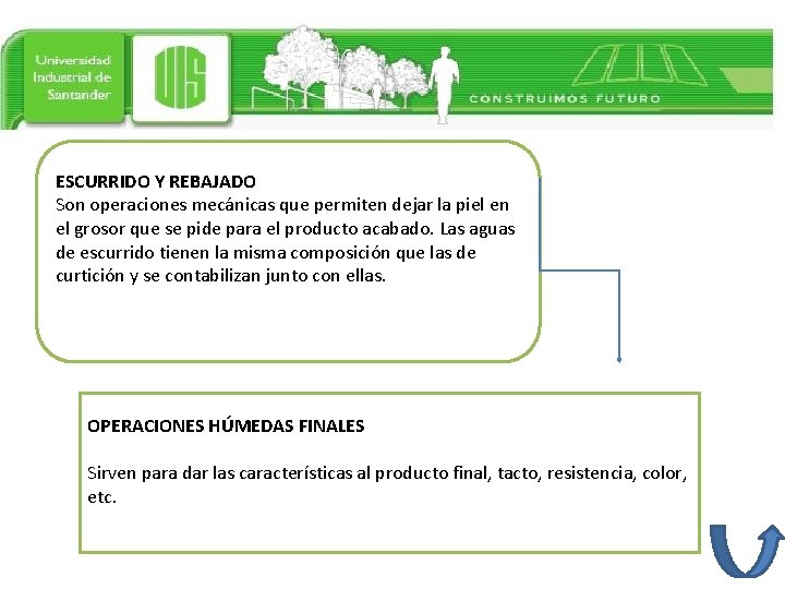 ESCURRIDO Y REBAJADO Son operaciones mecánicas que permiten dejar la piel en el grosor