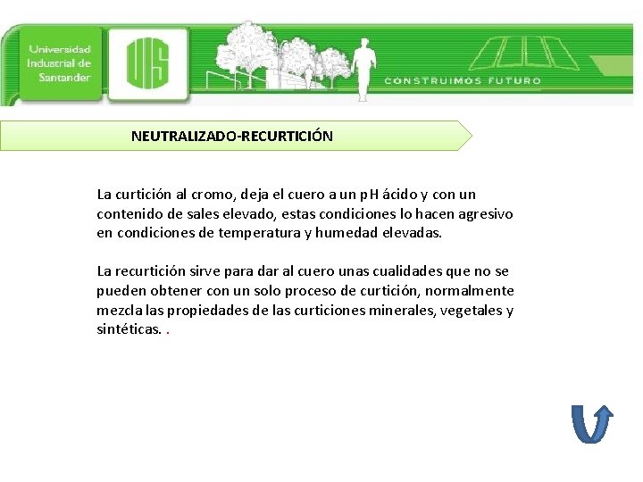 NEUTRALIZADO-RECURTICIÓN La curtición al cromo, deja el cuero a un p. H ácido y