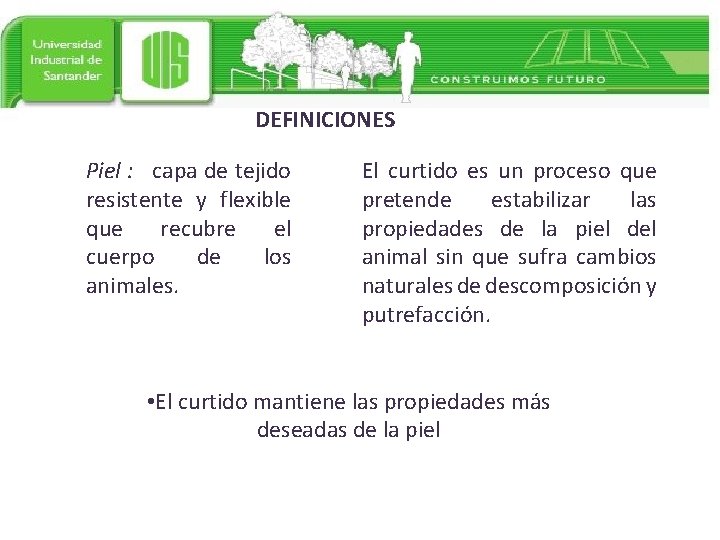 DEFINICIONES Piel : capa de tejido resistente y flexible que recubre el cuerpo de
