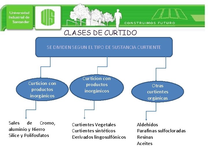 CLASES DE CURTIDO SE DIVIDEN SEGUN EL TIPO DE SUSTANCIA CURTIENTE Curticion con productos