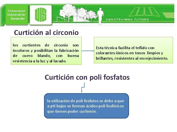 Curtición al circonio los curtientes de circonio son incoloros y posibilitan la fabricación de