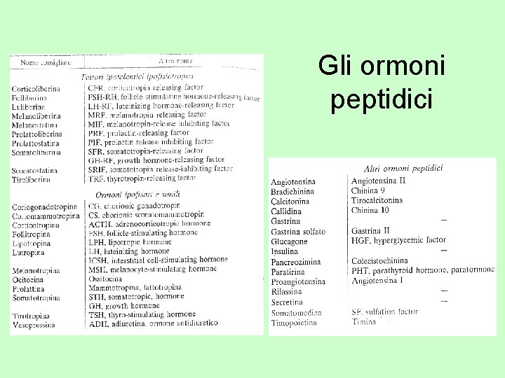 Gli ormoni peptidici 