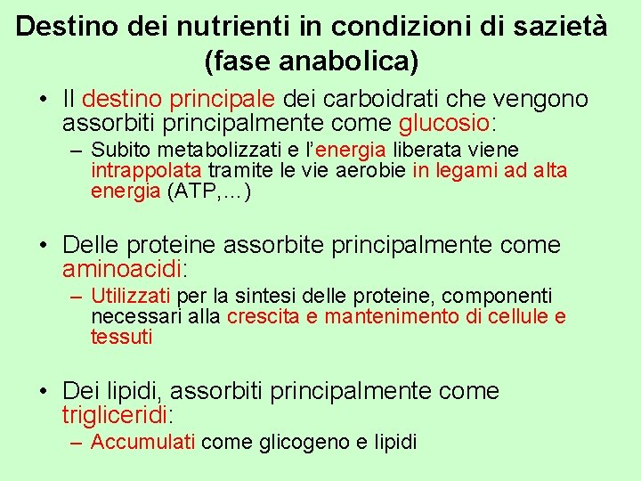 Destino dei nutrienti in condizioni di sazietà (fase anabolica) • Il destino principale dei